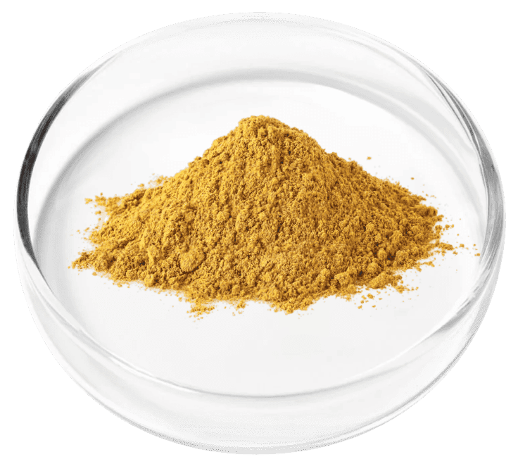 Granular Berberine ingredient