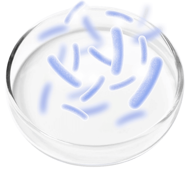 Probiotic Blend ingredient