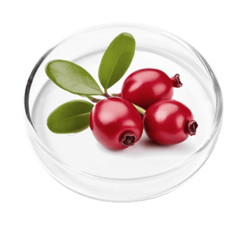 FemiPro Ingredient Bearberry