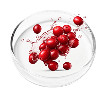 FemiPro Ingredient Cranberry Extract