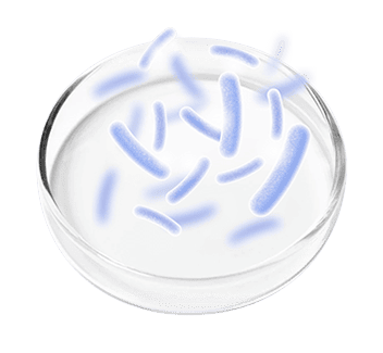 FemiPro Ingredient Probiotic Blend